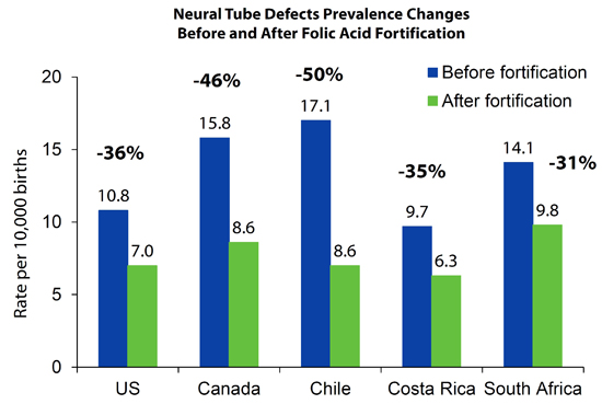 Neural Tube Defects